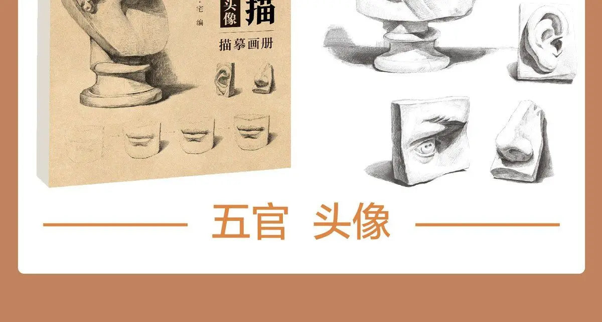 Sketching Introductory Textbook Zero Basic Sketch Copy Book Combined Single Still Life Facial Features Avatar Geometry Drawing