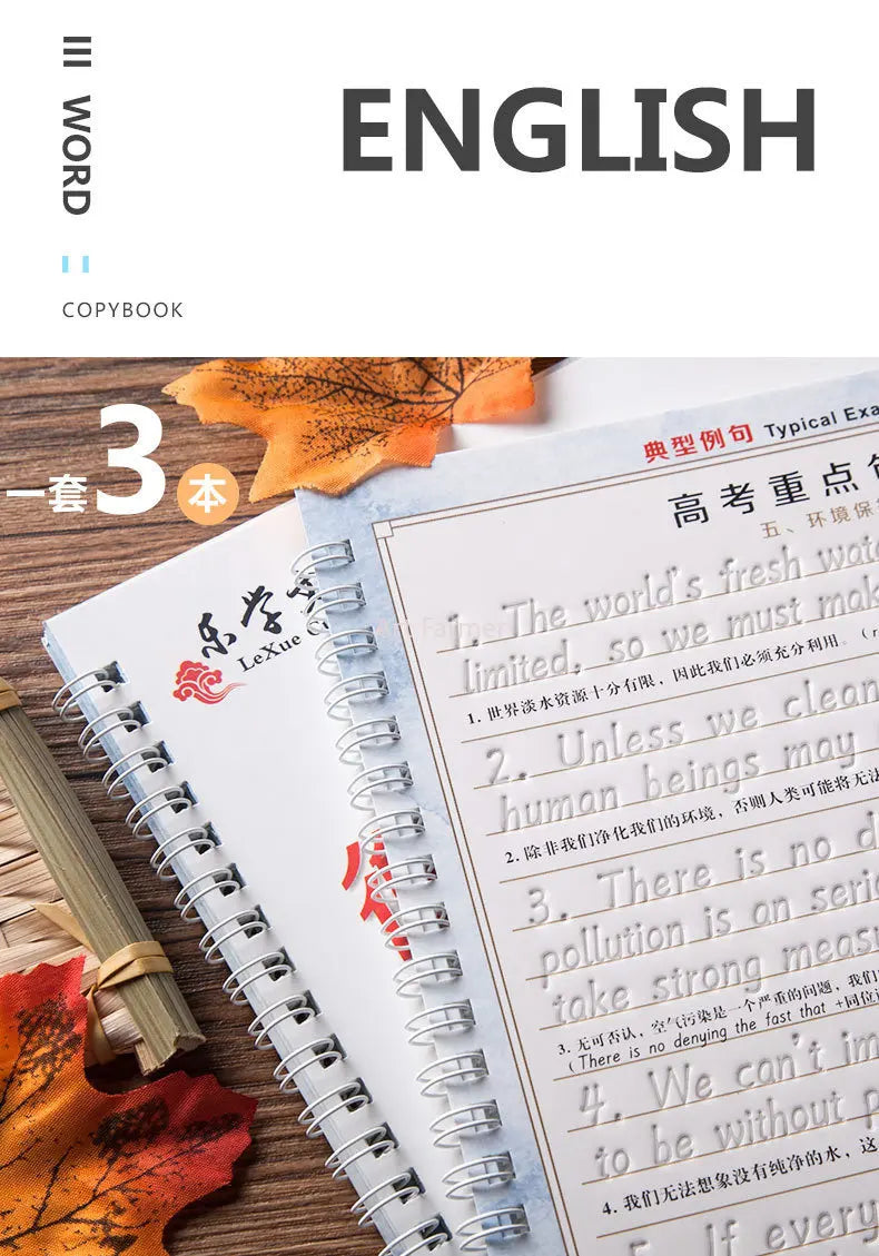 Students Practice Copybooks Learn English Composition Writing Handwriting Practice Book Hengshui Calligraphy Book 3D Reusable