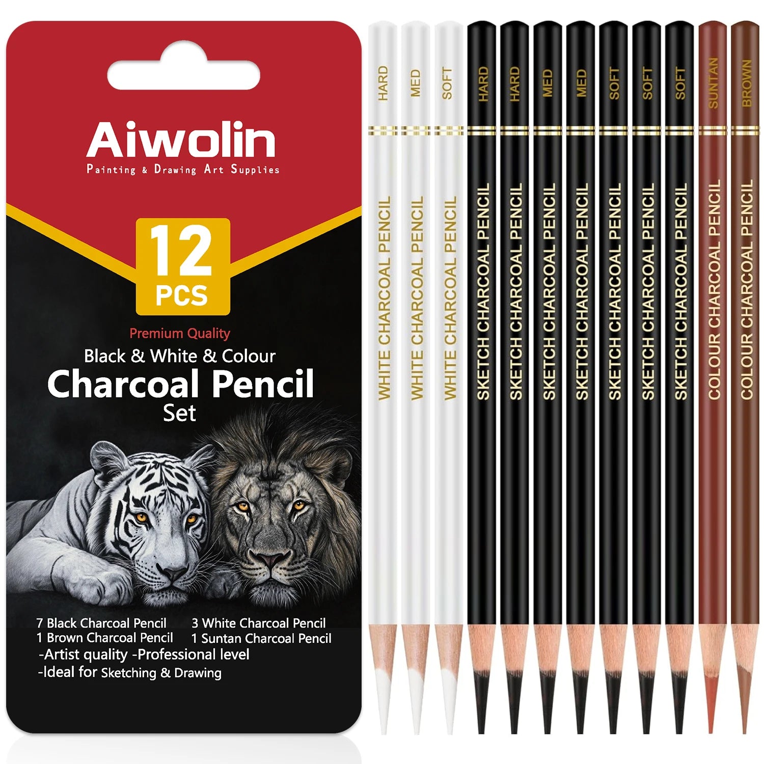 Pro Charcoal Pencils Drawing Set,6/10/12/20 PCS,Black/White Charcoal Pencils,S/M/H Charcoal Pencil for Drawing,Sketching,Shading