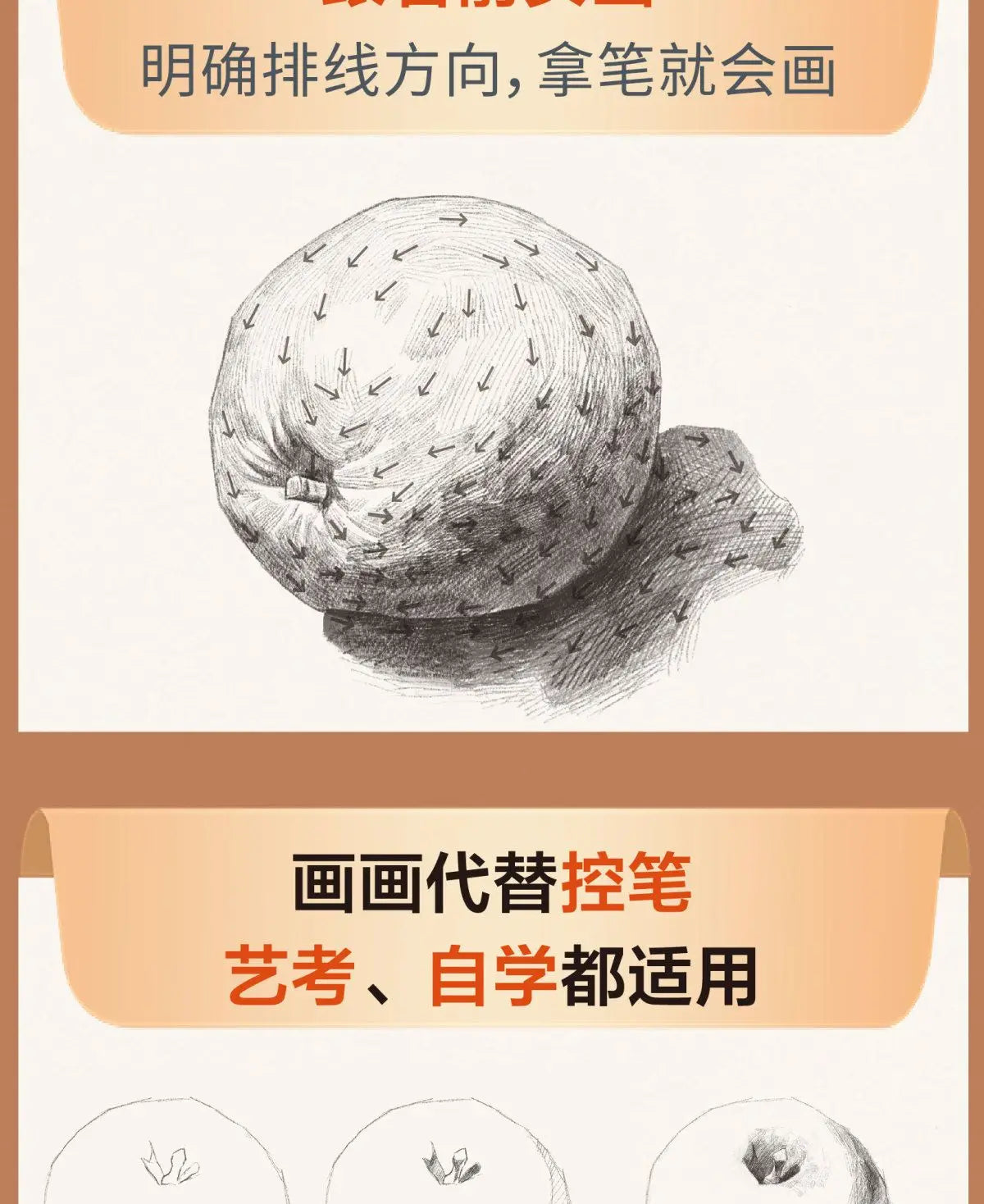 Sketching Introductory Textbook Zero Basic Sketch Copy Book Combined Single Still Life Facial Features Avatar Geometry Drawing