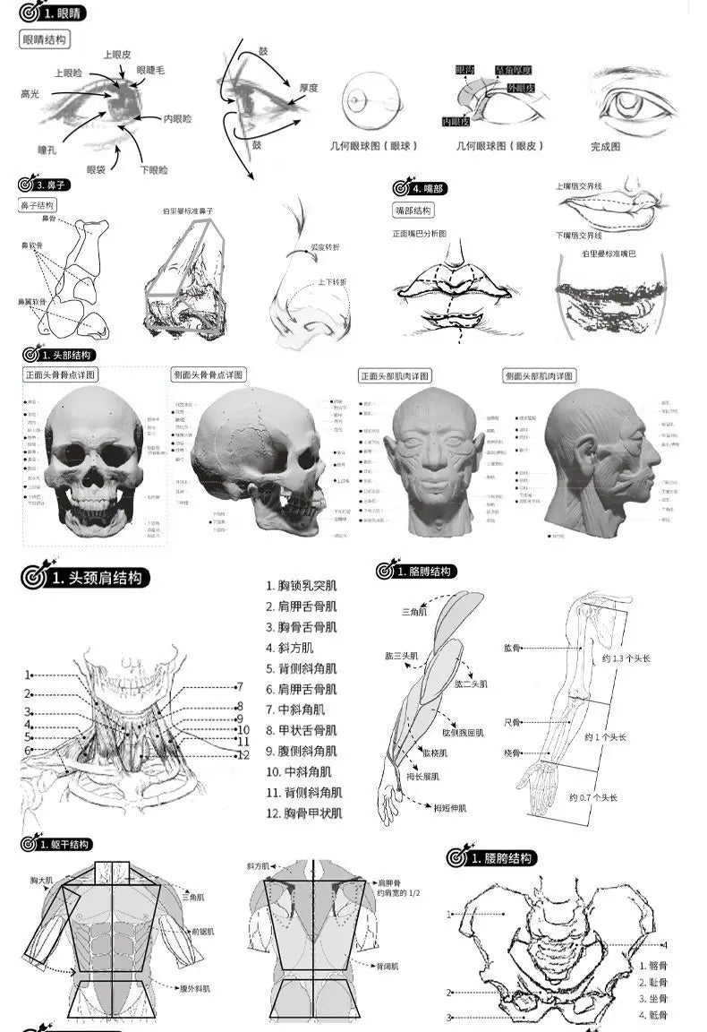 4 Books Character Sketch Line Drawing Tutorial Art Book Basic Knowledge Series Charact Sketch Set Sketch Copy Book