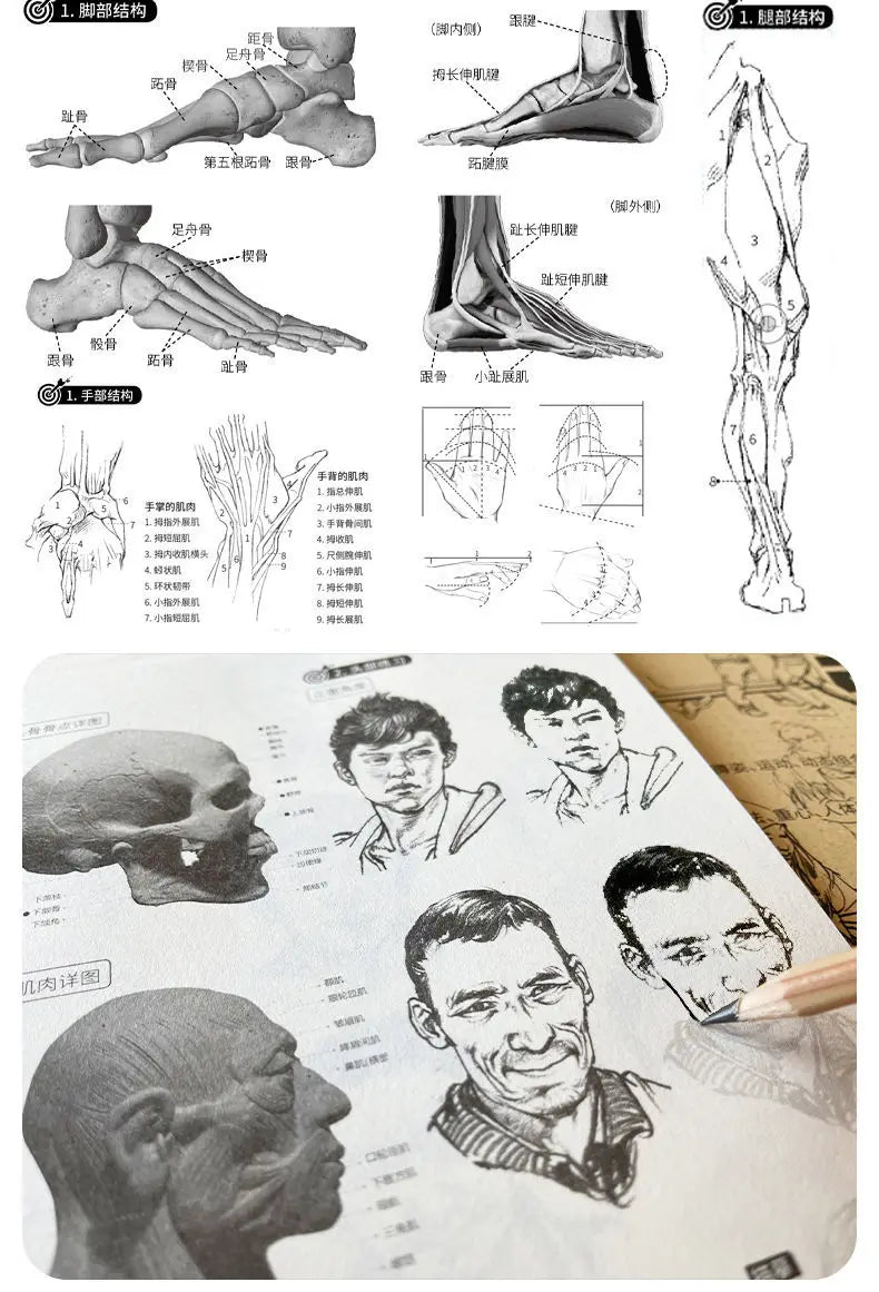 4 Books Character Sketch Line Drawing Tutorial Art Book Basic Knowledge Series Charact Sketch Set Sketch Copy Book