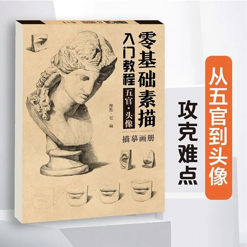 Sketching Introductory Textbook Zero Basic Sketch Copy Book Combined Single Still Life Facial Features Avatar Geometry Drawing