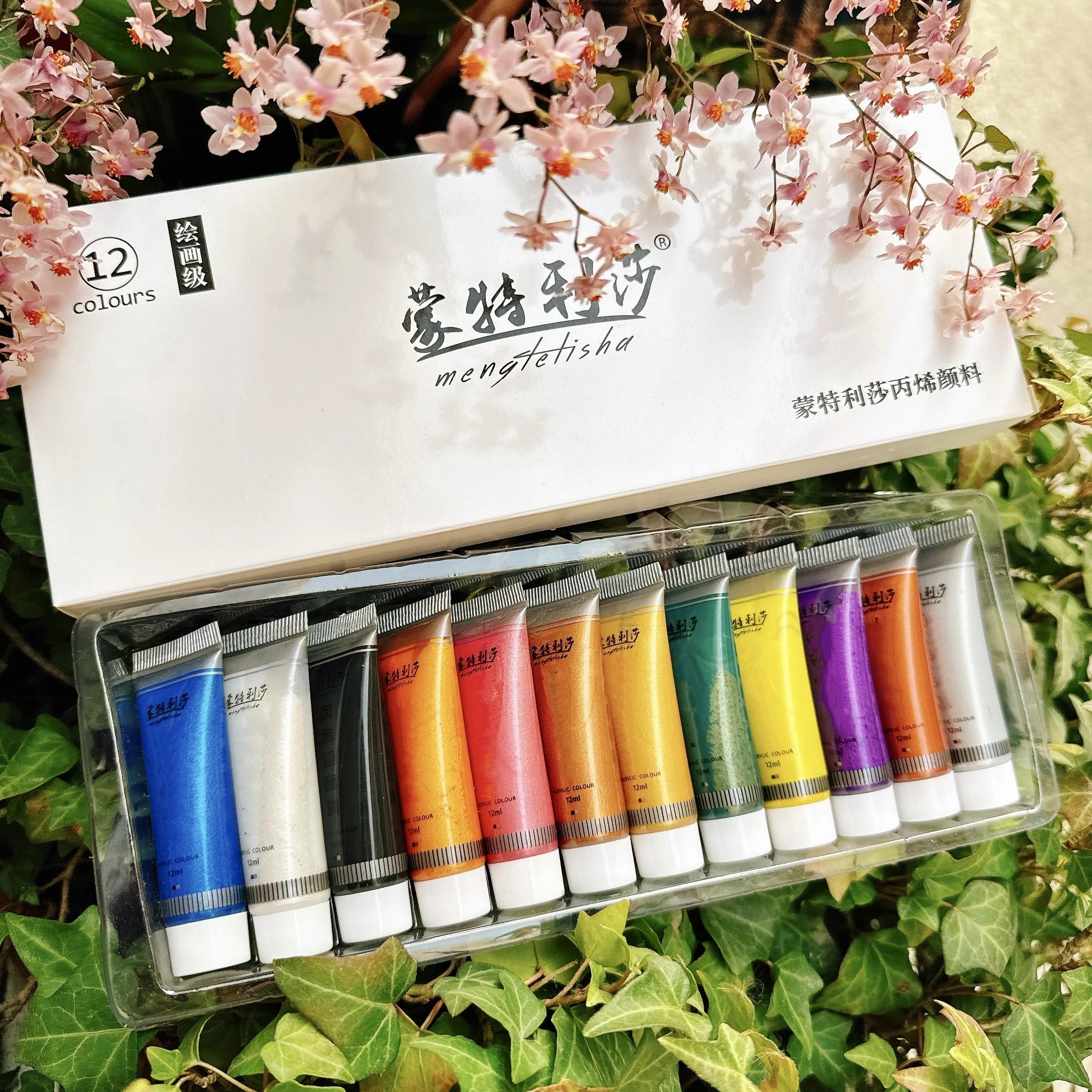 Pearlescent Acrylic Pigments Set 12ml*12 Colours Metallic Acrylic Colours Golden Hand Paints Silver Waterproof Painting Paint