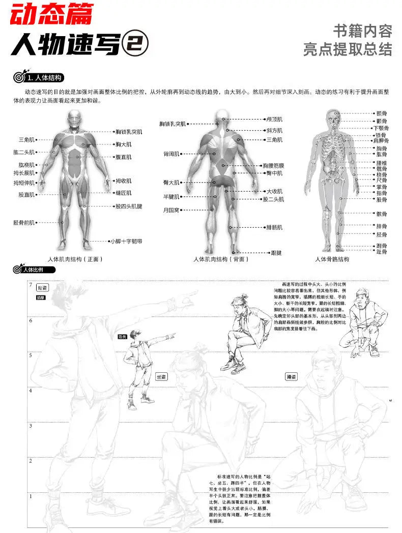 4 Books Character Sketch Line Drawing Tutorial Art Book Basic Knowledge Series Charact Sketch Set Sketch Copy Book