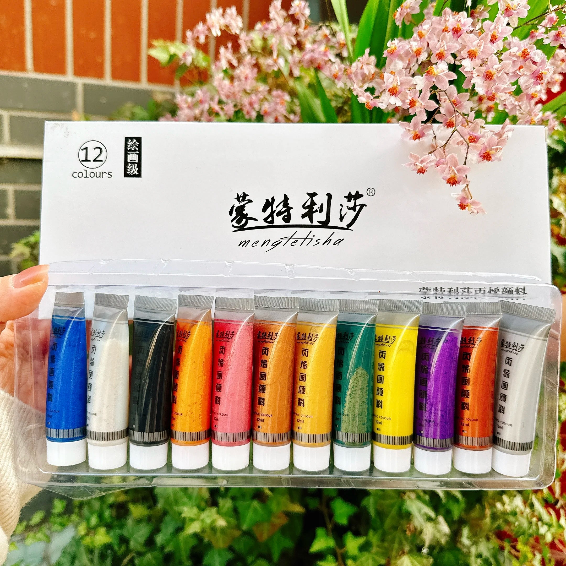 Pearlescent Acrylic Pigments Set 12ml*12 Colours Metallic Acrylic Colours Golden Hand Paints Silver Waterproof Painting Paint