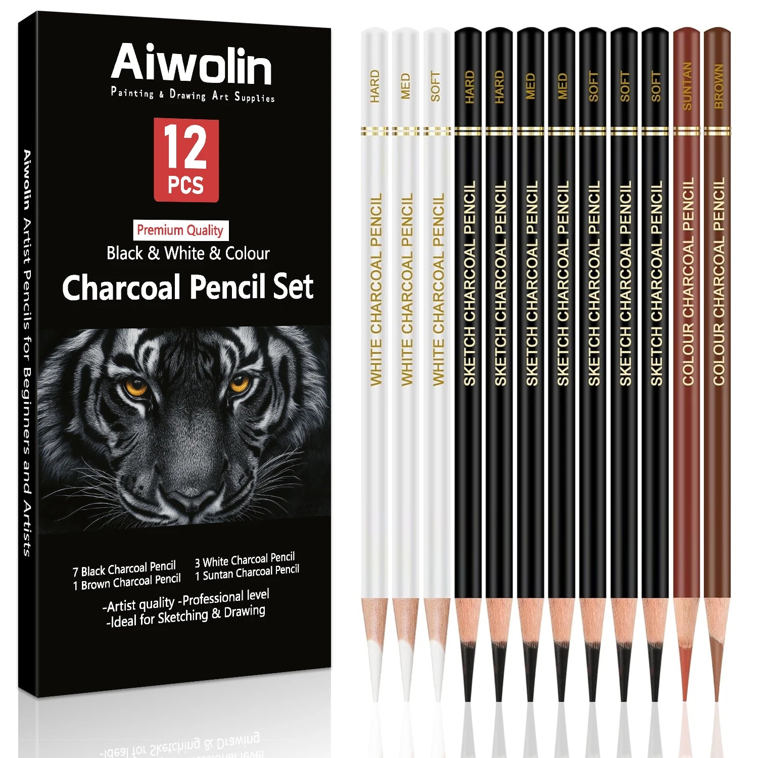 Pro Charcoal Pencils Drawing Set,6/10/12/20 PCS,Black/White Charcoal Pencils,S/M/H Charcoal Pencil for Drawing,Sketching,Shading