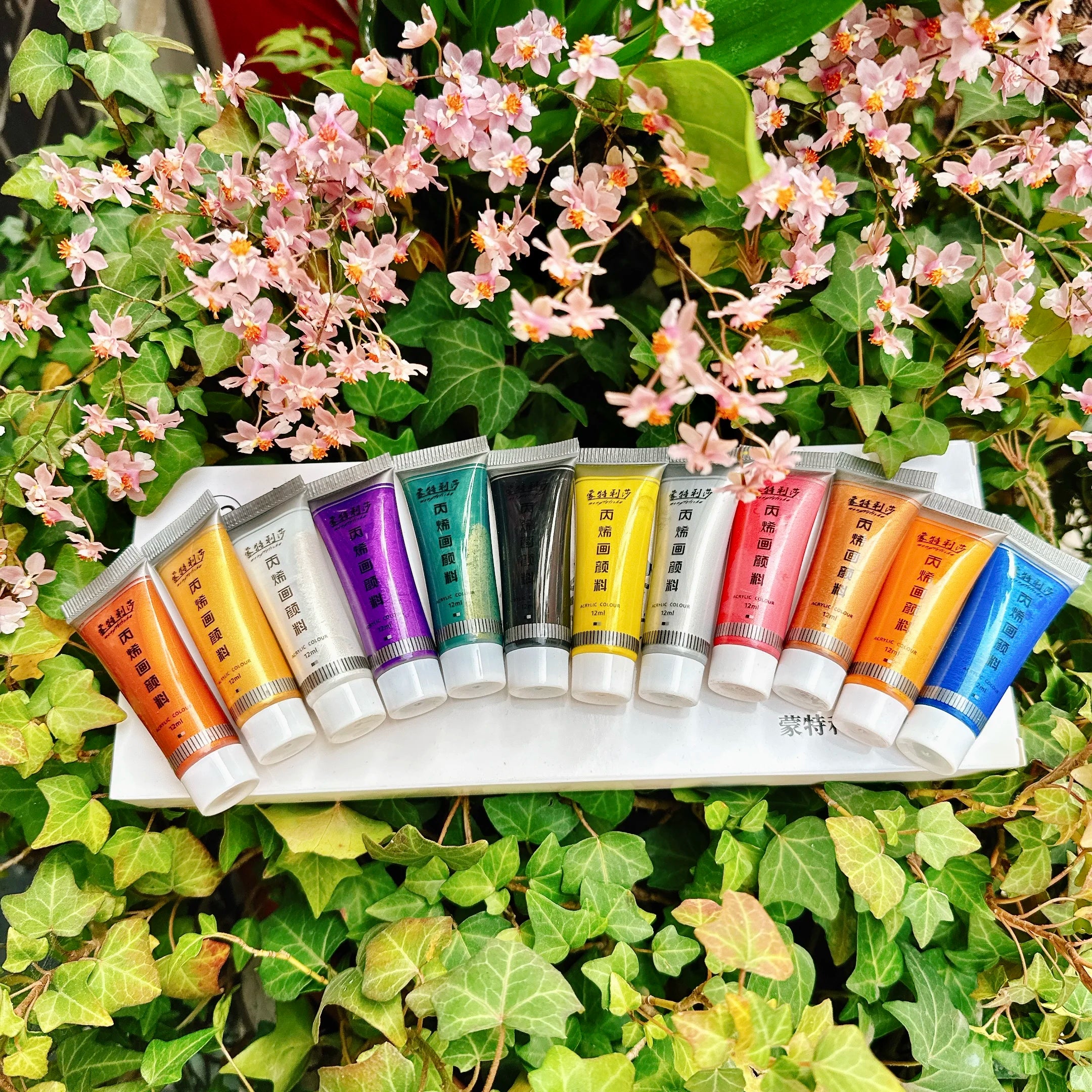 Pearlescent Acrylic Pigments Set 12ml*12 Colours Metallic Acrylic Colours Golden Hand Paints Silver Waterproof Painting Paint