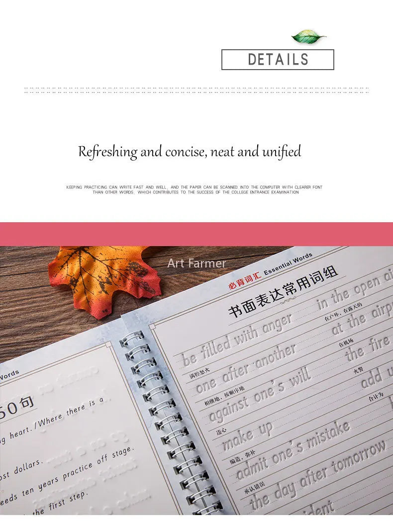 Students Practice Copybooks Learn English Composition Writing Handwriting Practice Book Hengshui Calligraphy Book 3D Reusable