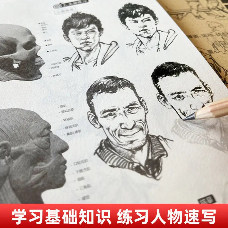4 Books Character Sketch Line Drawing Tutorial Art Book Basic Knowledge Series Charact Sketch Set Sketch Copy Book