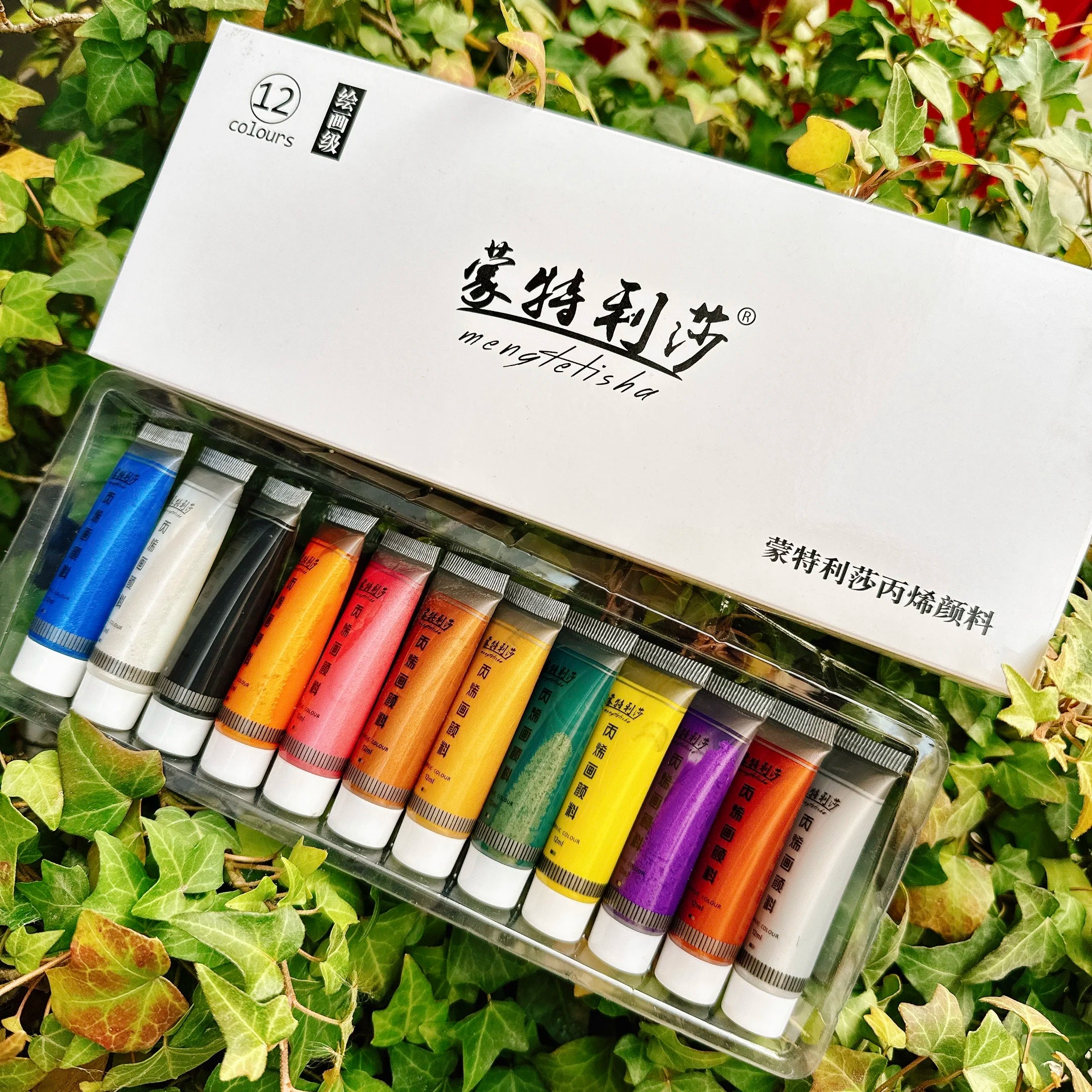 Pearlescent Acrylic Pigments Set 12ml*12 Colours Metallic Acrylic Colours Golden Hand Paints Silver Waterproof Painting Paint