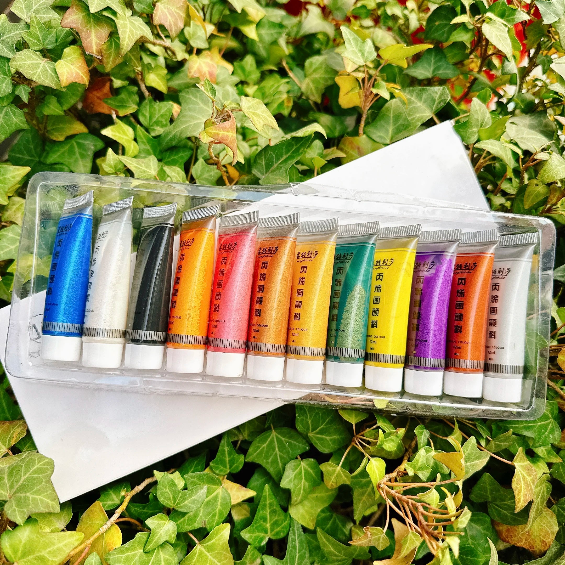 Pearlescent Acrylic Pigments Set 12ml*12 Colours Metallic Acrylic Colours Golden Hand Paints Silver Waterproof Painting Paint